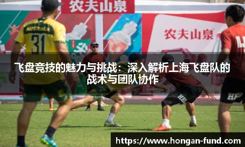 飞盘竞技的魅力与挑战：深入解析上海飞盘队的战术与团队协作