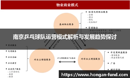 南京乒乓球队运营模式解析与发展趋势探讨