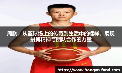 mk体育官网